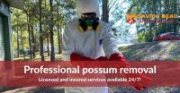 David's Dead Possum Removal Hobart image 5